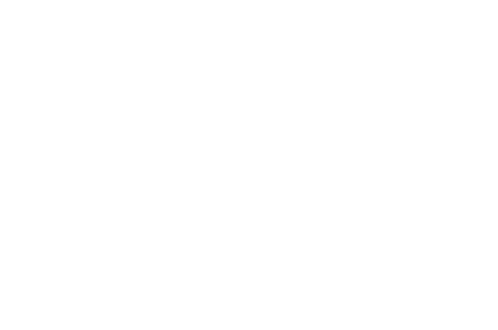 AWARD WINNER - IndieX Film Fest - 2024